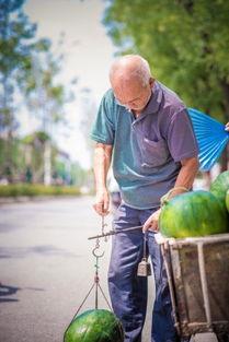 免费吃瓜救孙女